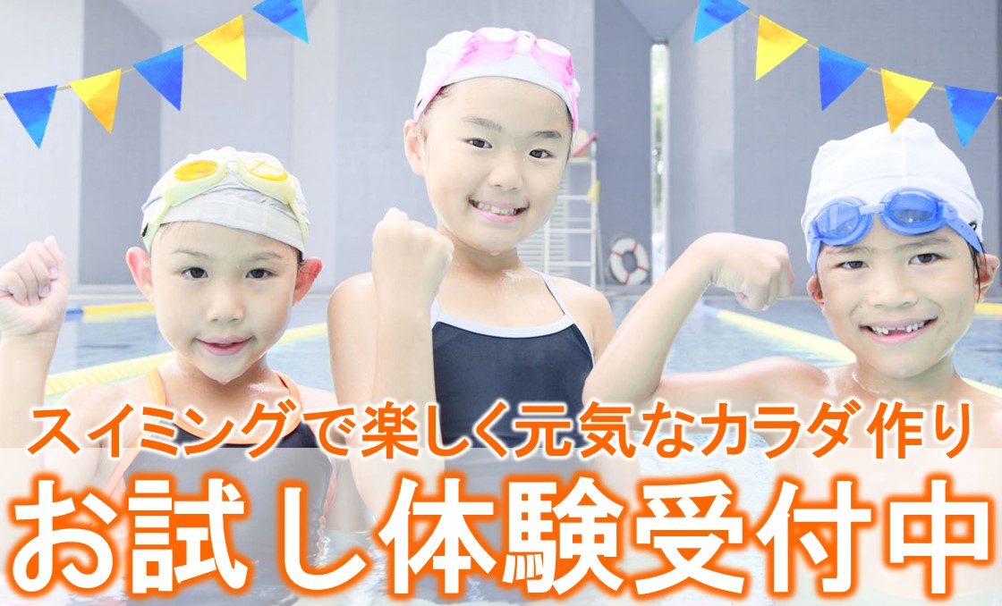ブログ画像